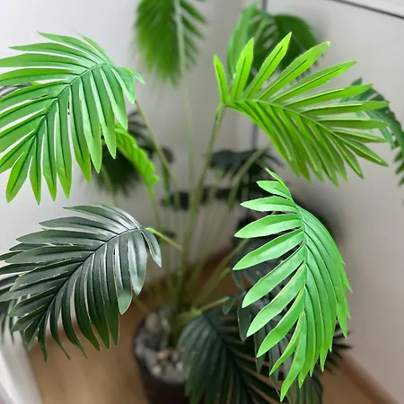 Borgers Berg Blick דירה