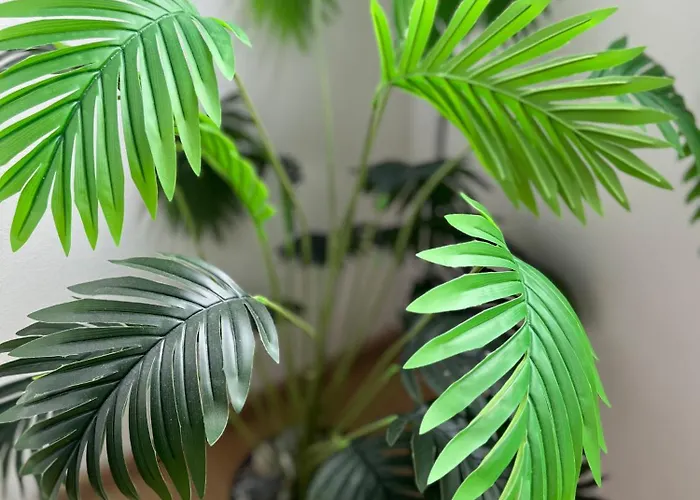 Borgers Berg Blick Apartment