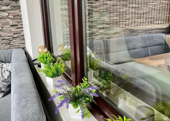 Borgers Berg Blick Apartment *