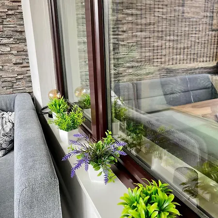 Borgers Berg Blick Apartment *